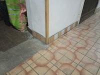 IMG_20240203_141357 (1024x768).jpg